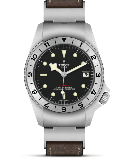 Tudor Black Bay P01 - M70150-0001