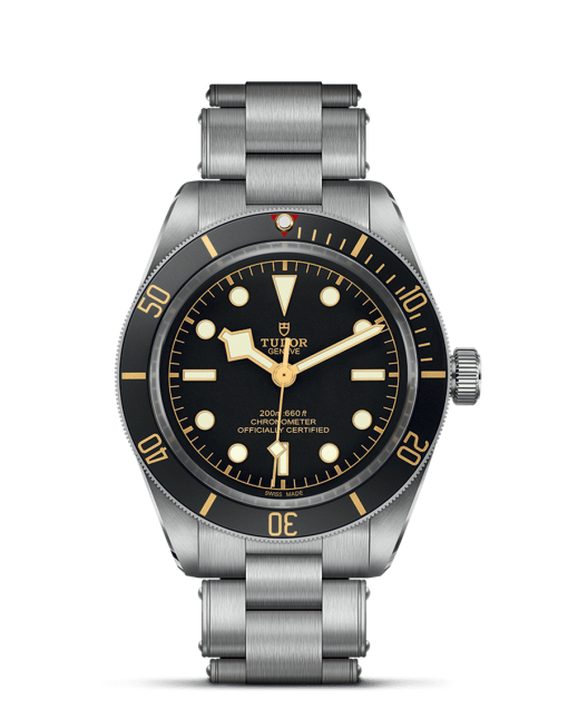 Tudor Black Bay 58 - M79030N-0001