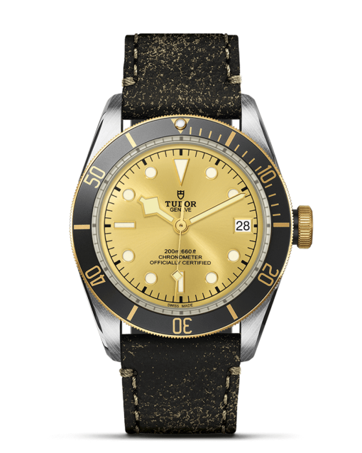 Tudor Black Bay S&G - M79733N-0003