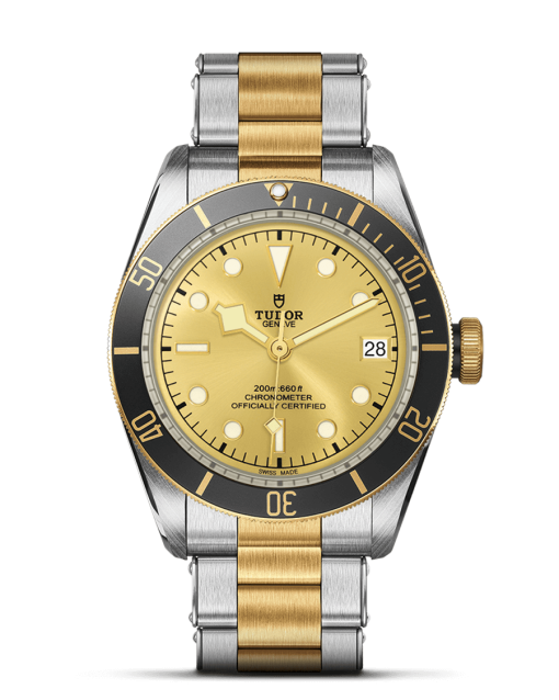 Tudor Black Bay S&G - M79733N-0004