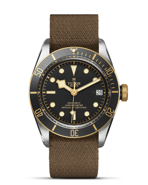 Tudor Black Bay S&G - M79733N-0005