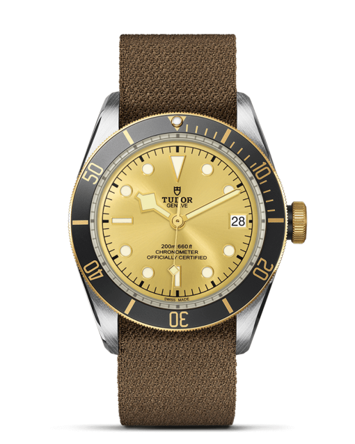 Tudor Black Bay S&G - M79733N-0006