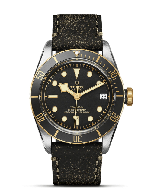 Tudor Black Bay S&G - M79733N-0007