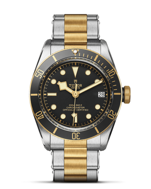 Tudor Black Bay S&G - M79733N-0008
