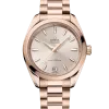 Omega Seamaster Aqua Terra Shades 34MM