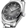 Omega Seamaster Railmaster 38mm - Bilde 3