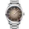 Omega Seamaster Railmaster 38mm