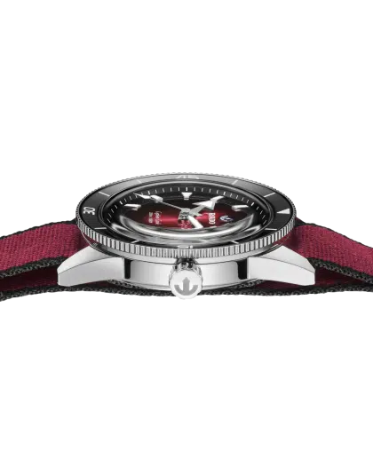 Rado Captain Cook Automatic 39 mm - R32223408 - Bilde 10