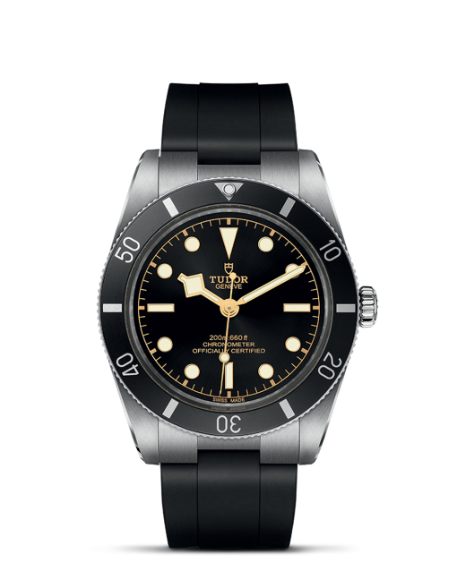 Tudor Black Bay 54 - M79000N-0002
