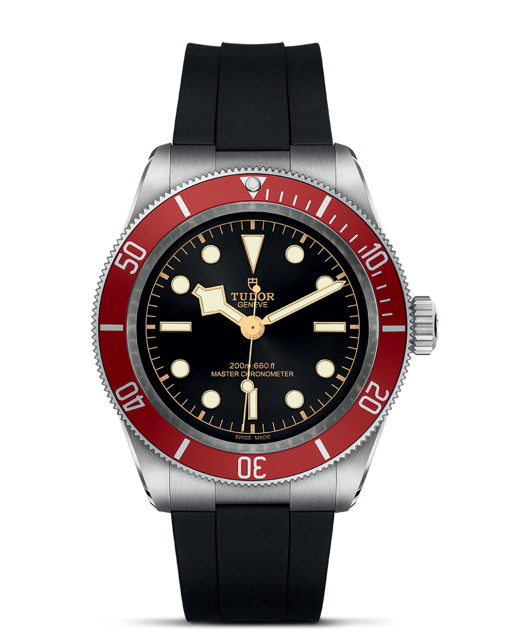 Tudor Black Bay 41 - M7941A1A0RU-0002