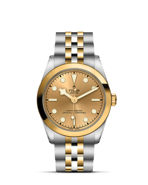 Tudor Black Bay 31 S&G - M79603-0005