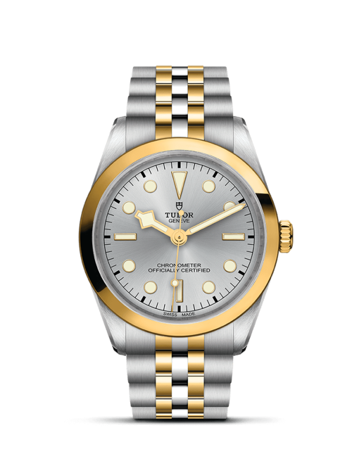 Tudor Black Bay 36 S&G - M79643-0002