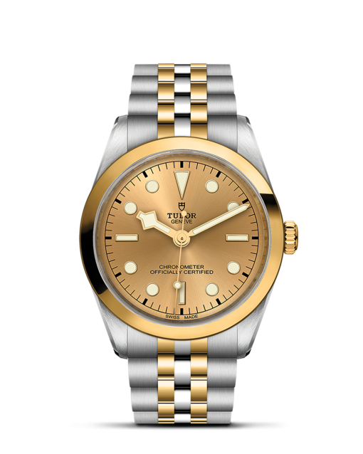 Tudor Black Bay 36 S&G - M79643-0005