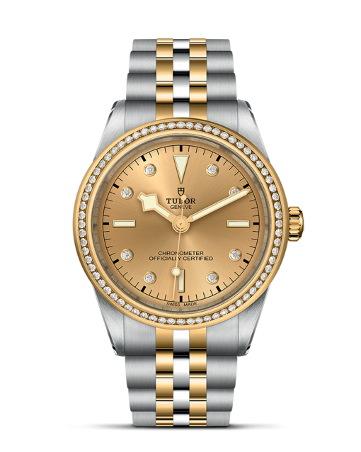 Tudor Black Bay 39 S&G - M79673-0007