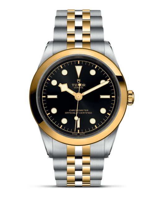 Tudor Black Bay 41 S&G - M79683-0001