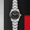 Tudor Ranger - M79950-0001 - Bilde 2