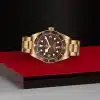 Tudor Black Bay 58 Bronze - M79012M-0001 - Bilde 3