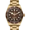 Tudor Black Bay 58 Bronze - M79012M-0001