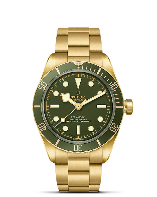 Tudor Black Bay 58 18K - M79018V-0006