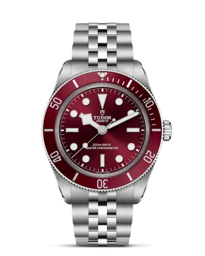 Tudor Black Bay 58 - M7939A1A0RU-0001