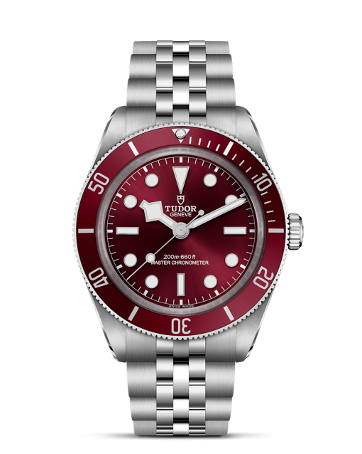 Tudor Black Bay 58 - M7939A1A0RU-0001