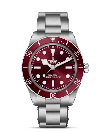 Tudor Black Bay 58 - M7939A1A0RU-0002