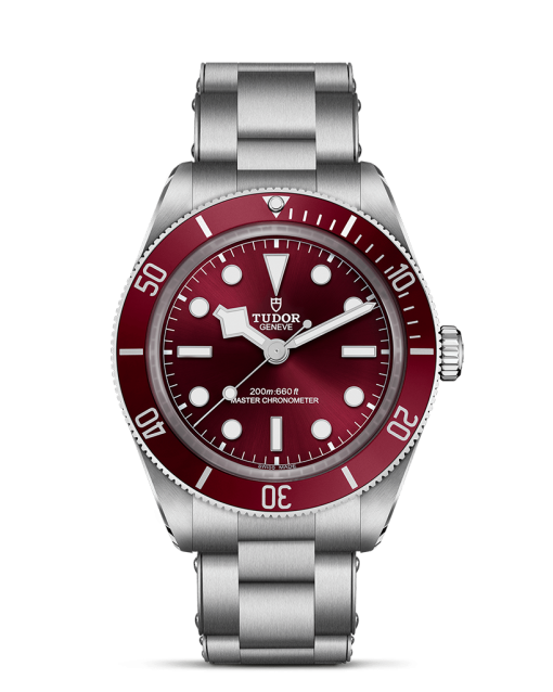 Tudor Black Bay 58 - M7939A1A0RU-0002