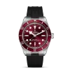 Tudor Black Bay 58 - M7939A1A0RU-0003