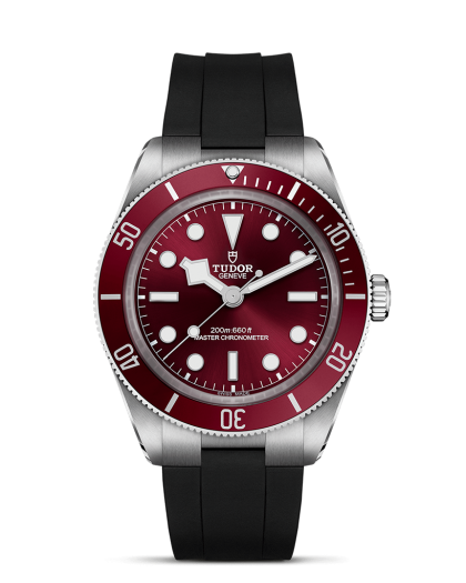 Tudor Black Bay 58 - M7939A1A0RU-0003