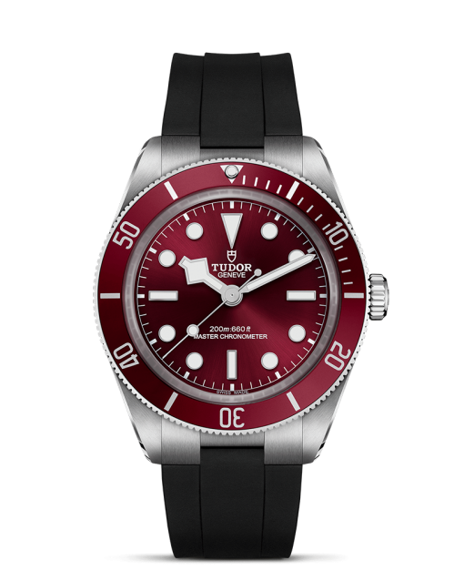 Tudor Black Bay 58 - M7939A1A0RU-0003
