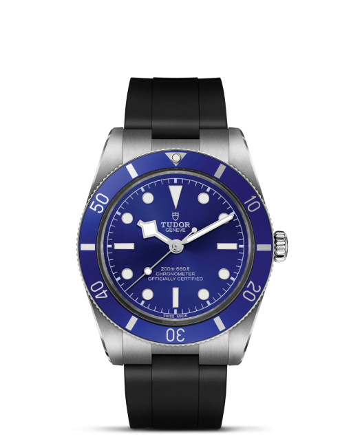 Tudor Black Bay 54 - M79000B-0002