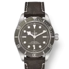 Tudor Black Bay Fifty-Eight - M79010SG-0001