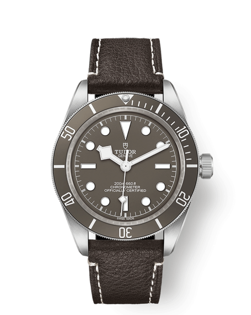 Tudor Black Bay Fifty-Eight - M79010SG-0001