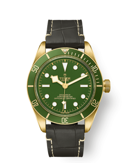 Tudor Black Bay Fifty-Eight 18K - M79018V-0001