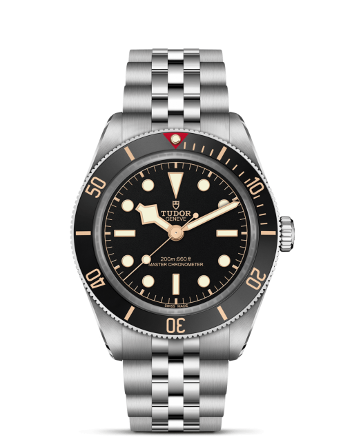 Tudor Black Bay 58 - M7939A1A0NU-0001